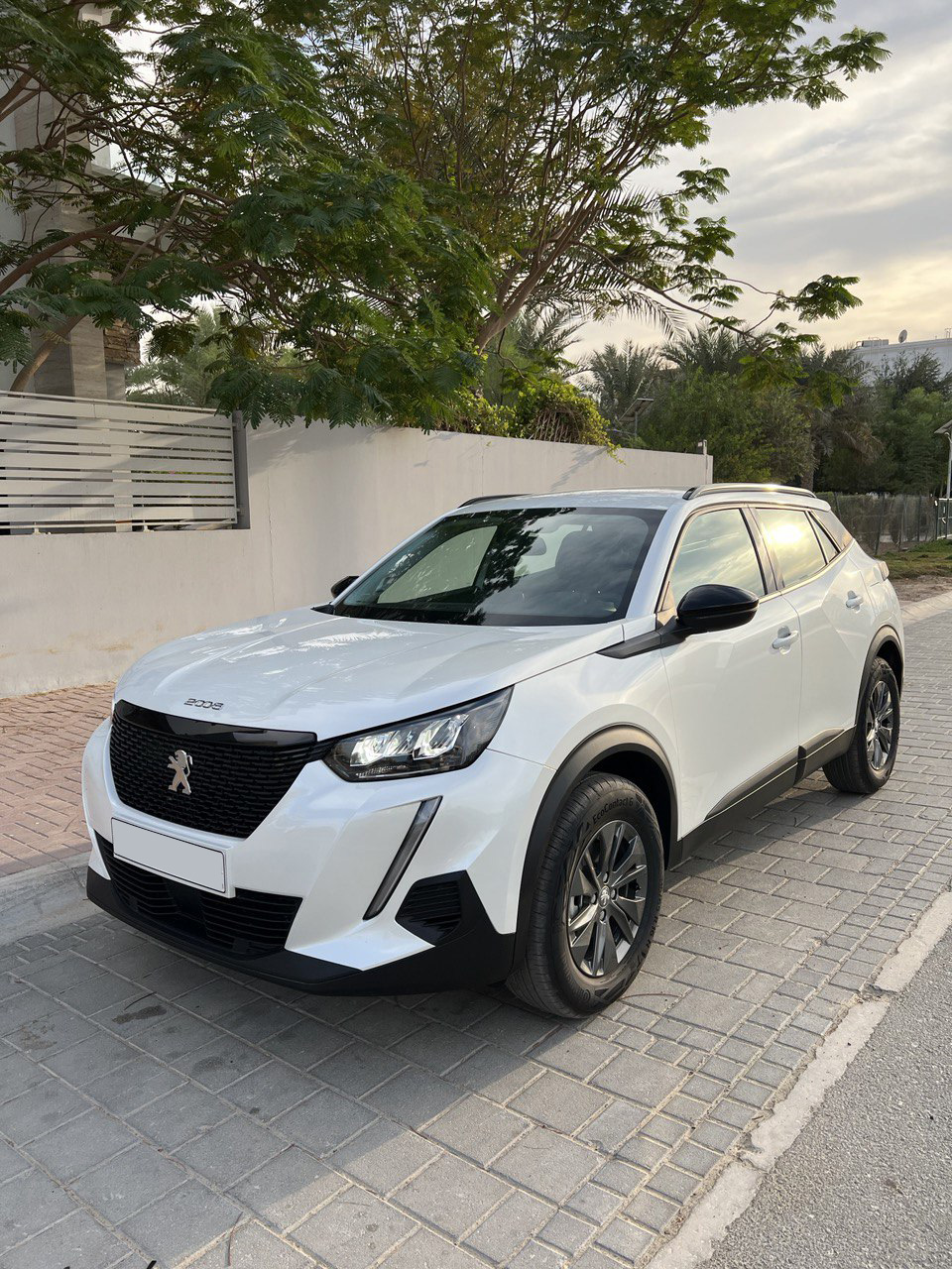 Picture Peugeot 2008 